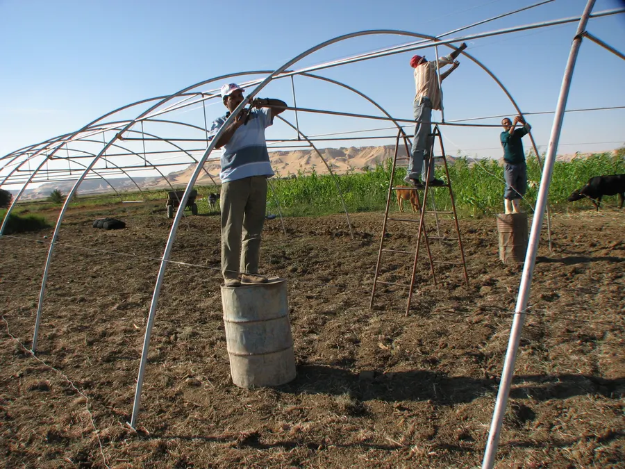 Completed greenhouse structure with irrigation inside